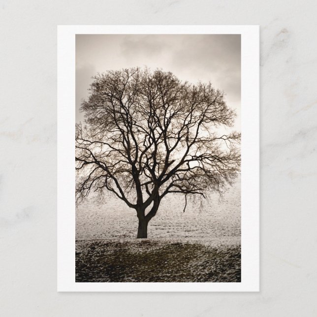 kall och underbart vykort (Framsida)