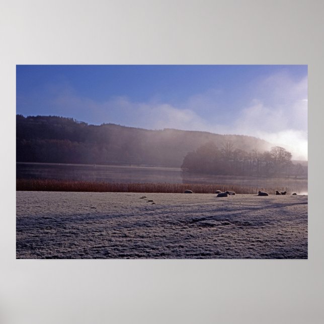 Kall vintermorgon Esthwaite Vatten England Poster (Framsidan)