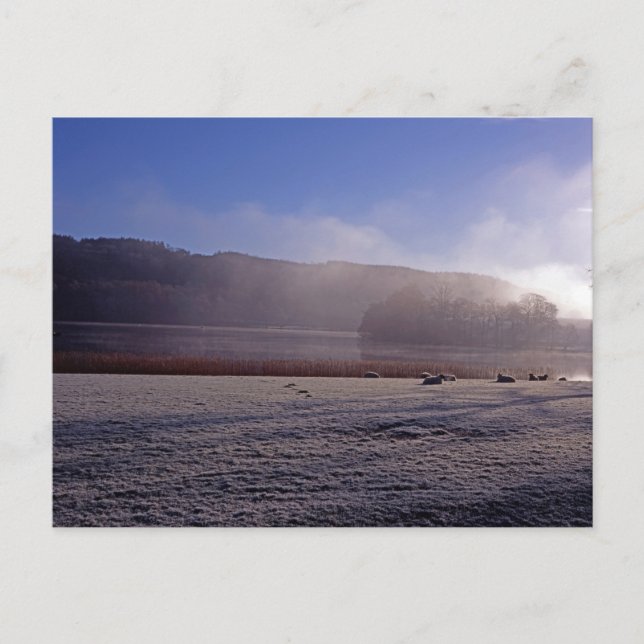 Kall vintermorgon Esthwaite Vatten England Vykort (Framsida)