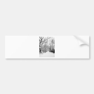 Kall Winter Woodland Bildekal