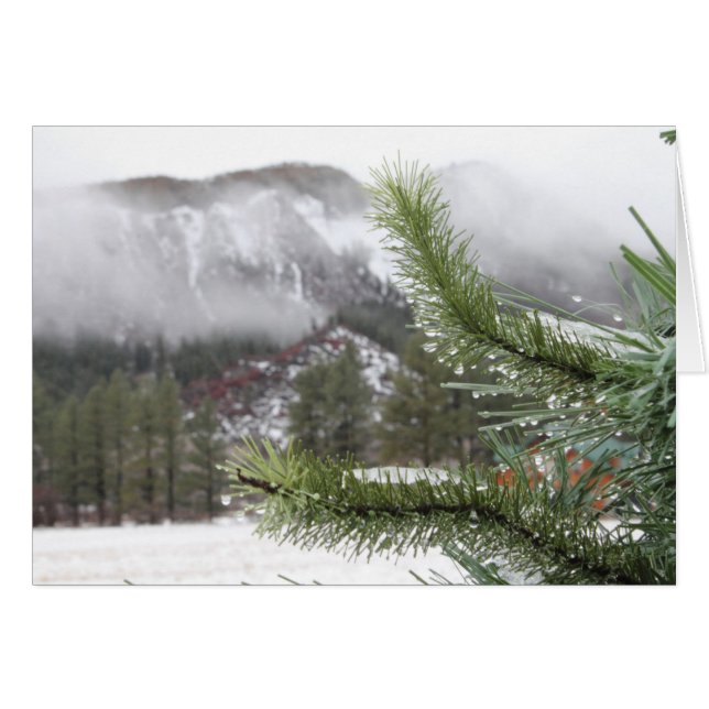 Kall Winter's Morn Hälsningskort (Framsidan Horizontal)