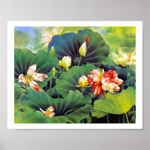Kalla härliga kinesiska lotusblommar blommar grö poster
