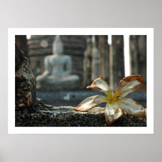 kalla jorden till vittne poster