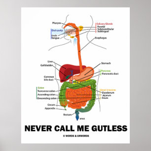 Kalla mig aldrig utan giftighet (Digestive System Poster
