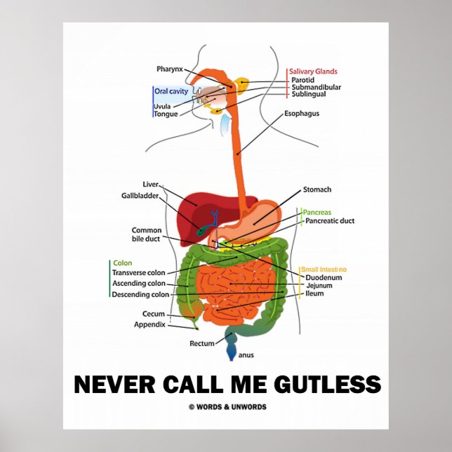 Kalla mig aldrig utan giftighet (Digestive System  Poster (Framsidan)