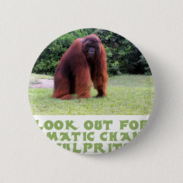 kalla Orangutandesigner Knapp (Framsida)