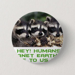 kalla raccoondesigner knapp