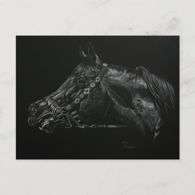 Kalla Vykort (Framsida)