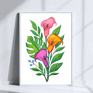 Kallaliljor Blommig Teckning Med Färgpenna Poster