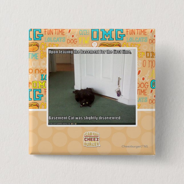 Källarekatt som desorienteras litet knapp (Framsida)