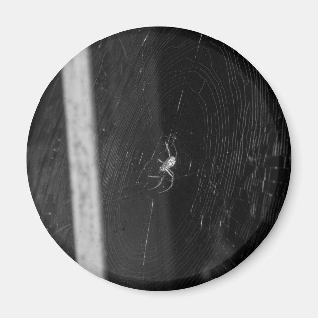 Källarspindel Magnet (Framsidan)
