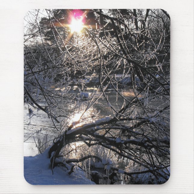 Kallet Hafren Musmatta (Framsidan)