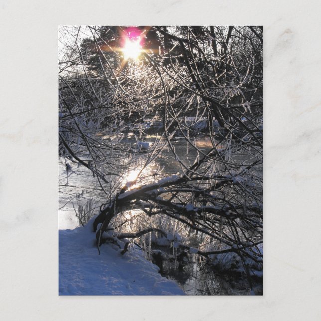 Kallet Hafren Vykort (Framsida)