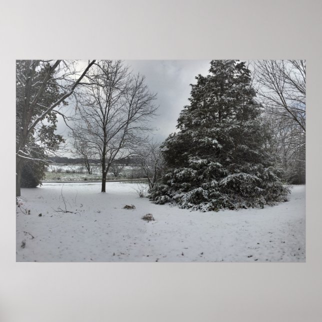 Kallets vinterdag Poster (Framsidan)