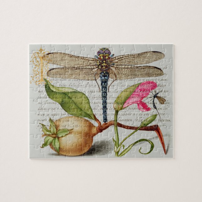 Kalligrafi (Dragonfly, Carnation & Pear) Pussel (Horisontell)