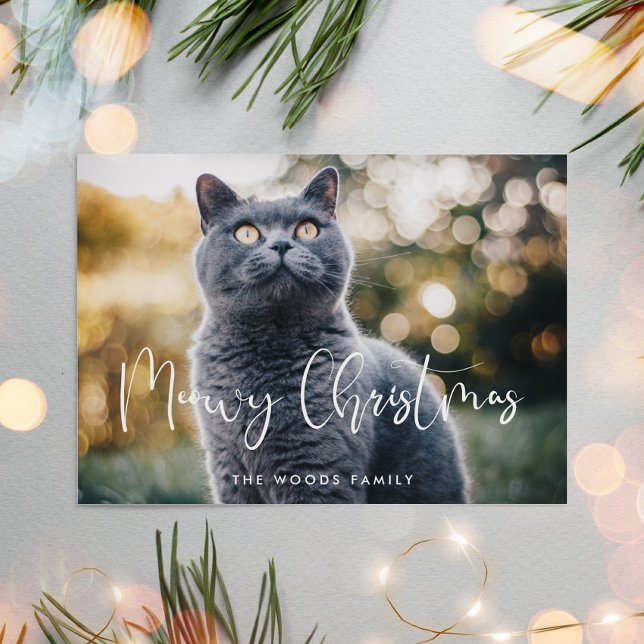 Kalligrafi - foto till Eleganten Meowy Jul Julkort (Skapare uppladdad)