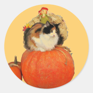 Kalliko katt och fågelskrämma på pumpor runt klistermärke