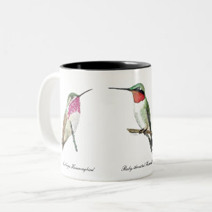 Kalliope, Rufous och Ruby-throated Hummingbird Två-Tonad Mugg
