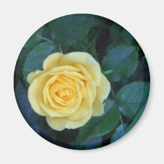 Källpics 017 magnet