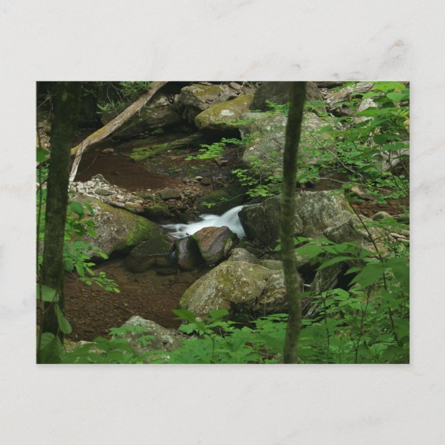 Kallt vatten vykort (Framsida)