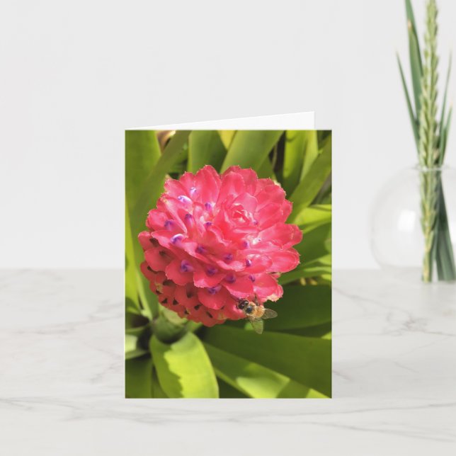 Källtidsnotecard #3 (tomt inuti) kort (Framsida)