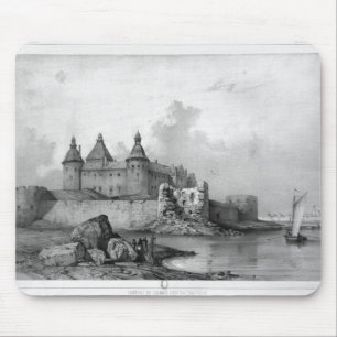 Kalmar slott musmatta