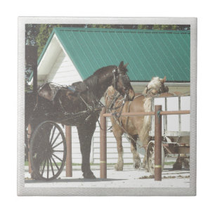 Kalona Amish Horses Kakelplatta
