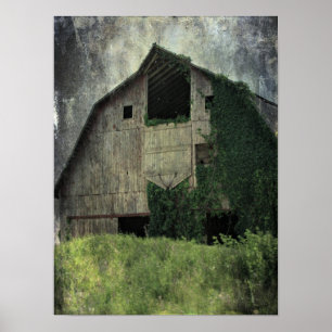 Kalona Barn och Ivy Poster
