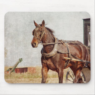 Kalona, Iowa Amish Horse och Buggy Musmatta