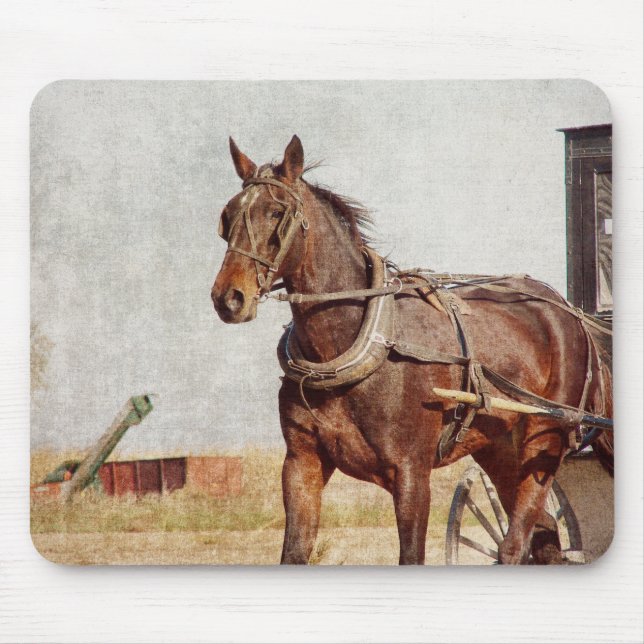 Kalona, Iowa Amish Horse och Buggy Musmatta (Framsidan)