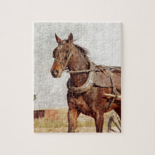 Kalona, Iowa Amish Horse och Buggy Pussel