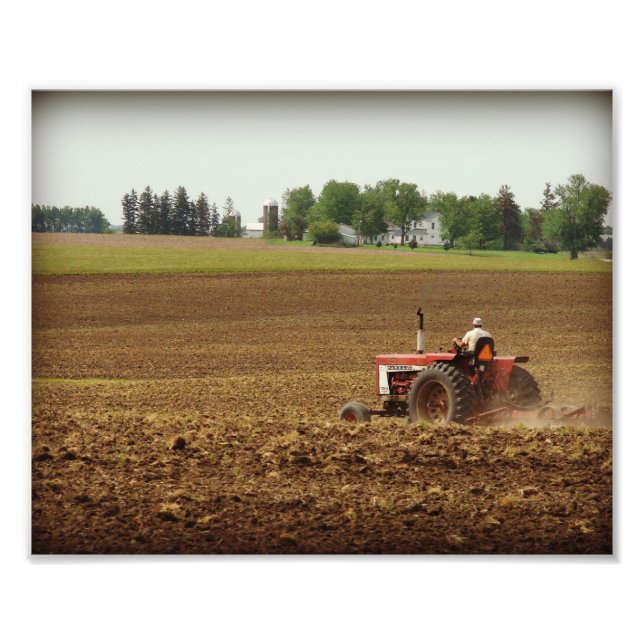 Kalona, Iowa Fältarbete Fototryck (Framsidan)