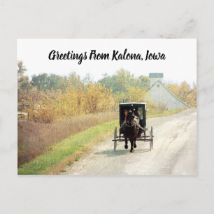 Kalona, Iowa Höst Amish Häst och kärra Vykort