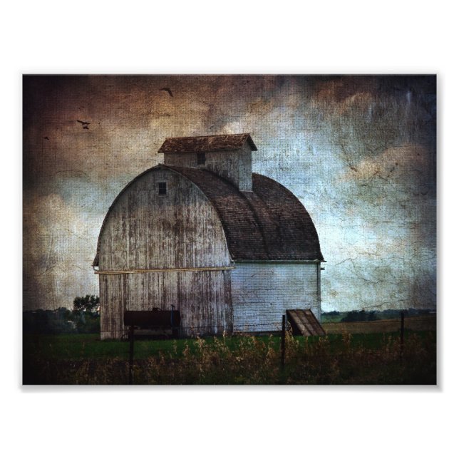 Kalona, Iowa White Barn med fåglar Fototryck (Framsidan)