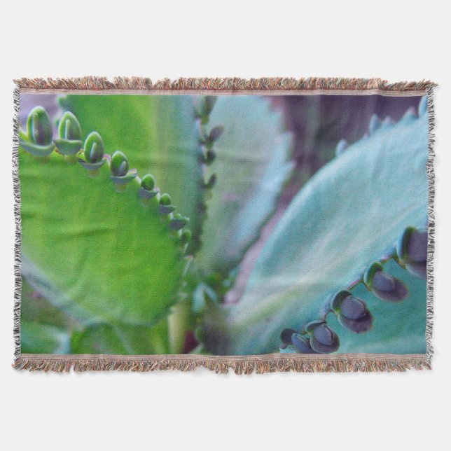 Kalonchoe Färg Filt (Framsidan)