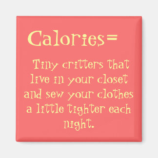 Kalorier Fridge Magnet