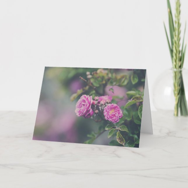 Kålro Kort (Framsida)