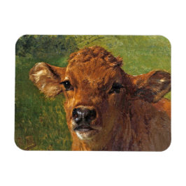 Kalv huvud (av Rosa Bonheur) Magnet