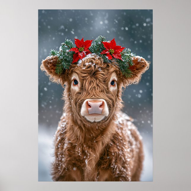 Kalv i snö med julstjärnekrans poster (Framsidan)