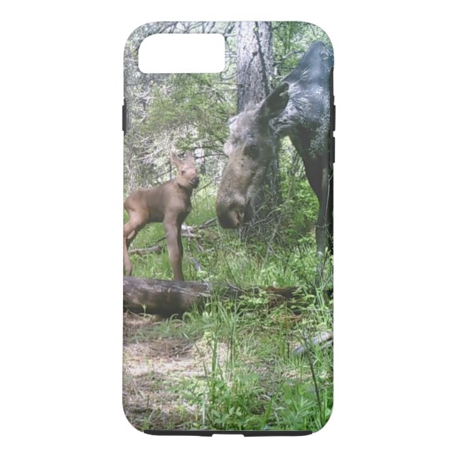 Kalv och älgmamma Case-Mate iPhone skal (Baksida)