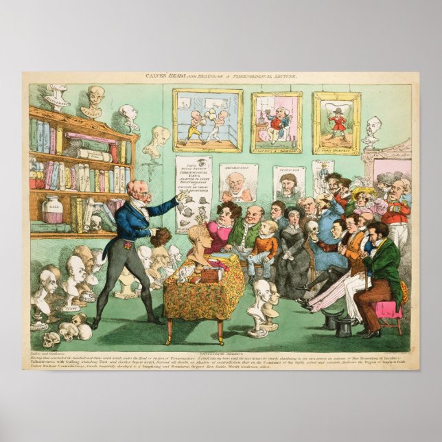 Kalvarhuvud och hjärnor; en frenologisk poster (Framsidan)