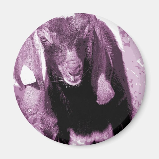 Kalvin 2 magnet (Framsidan)