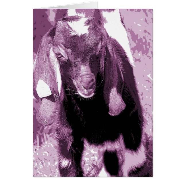 Kalvin i Lila Hälsningskort (Framsidan)