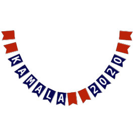 Kamala Harris 2020 Vimplar