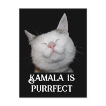 Kamala is Purrfect