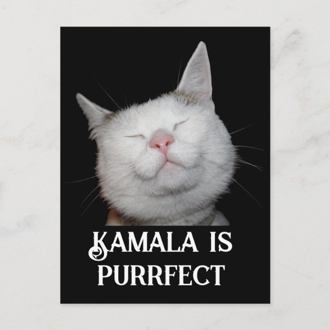 Kamala is Purrfect Vykort (Framsida)