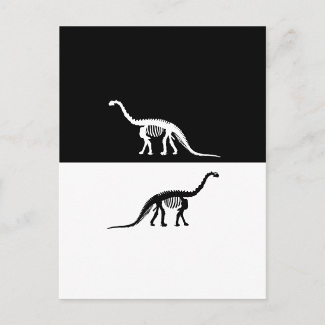 kamarasaurus skelett vykort (Framsida)