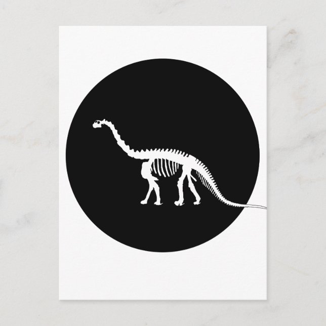kamarasaurus skelett vykort (Framsida)