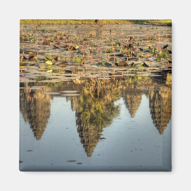 Kambodja, Angkor Wat. Reflexion av tempel Magnet (Framsidan)