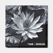 Kambodja - Lotus Flower BW (Fridge Magnet)